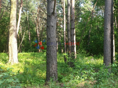 Działka budowlana Magdalenka