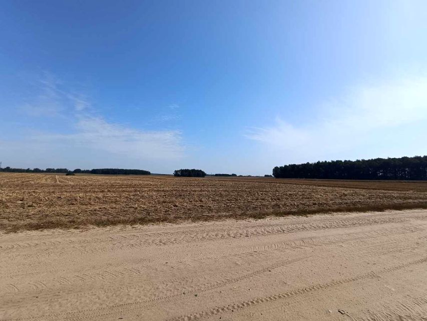 Działka rolna Rychnowy