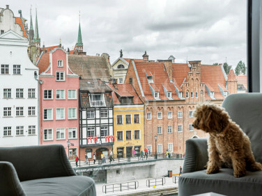 Mieszkanie Gdańsk