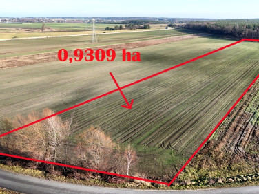 Działka Ostrów Wielkopolski