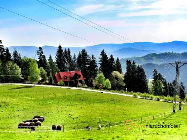 Dom Piwniczna-Zdrój