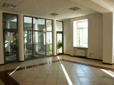 Lokal Mława wynajem