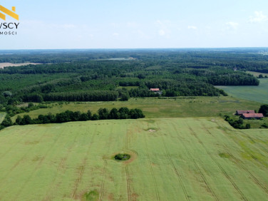 Działka Rogity