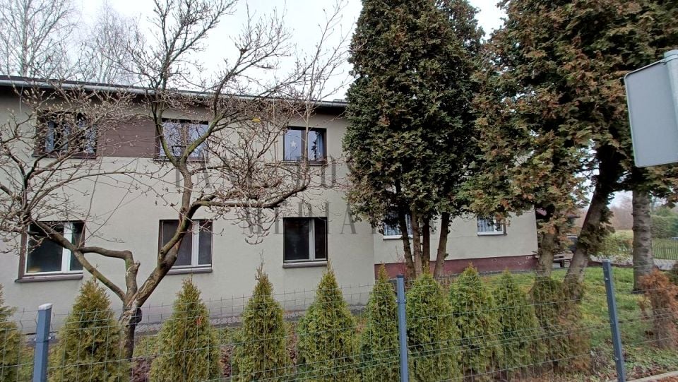 Zdjęcie 2
