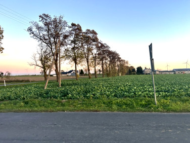 Działka rolna sprzedam