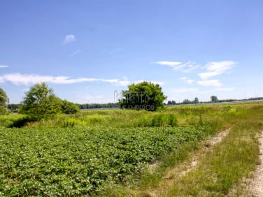 Działka budowlana Warszawa