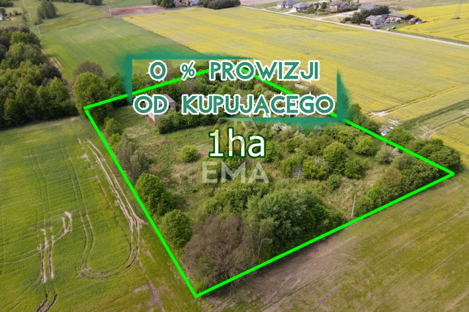Działka Zwierzyniec Pierwszy