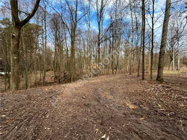 Działka Adamów-Wieś