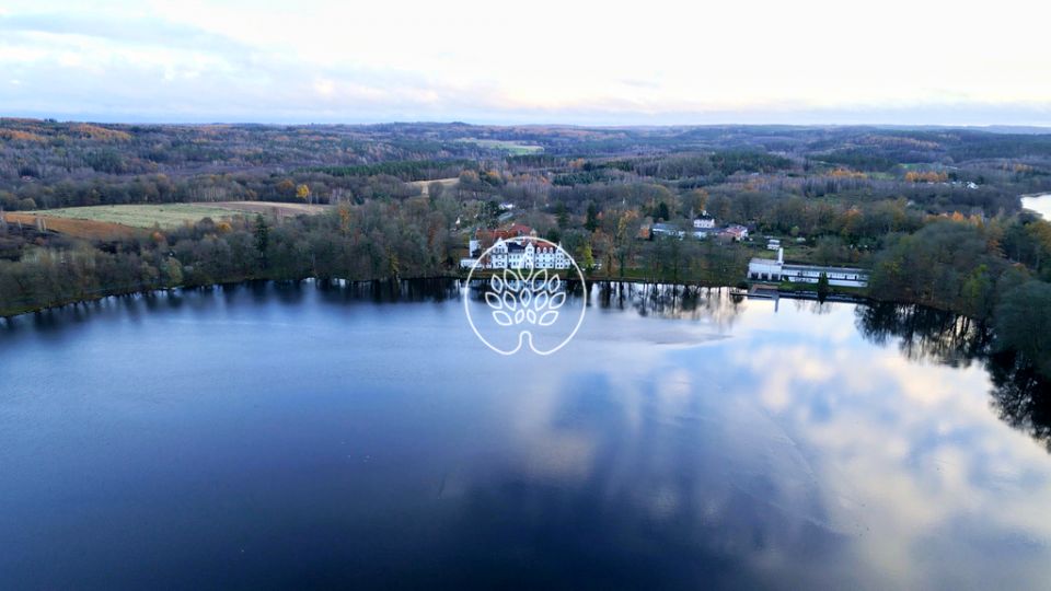 Budynek użytkowy Krąg sprzedaż