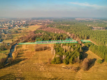 Działka Bogusze