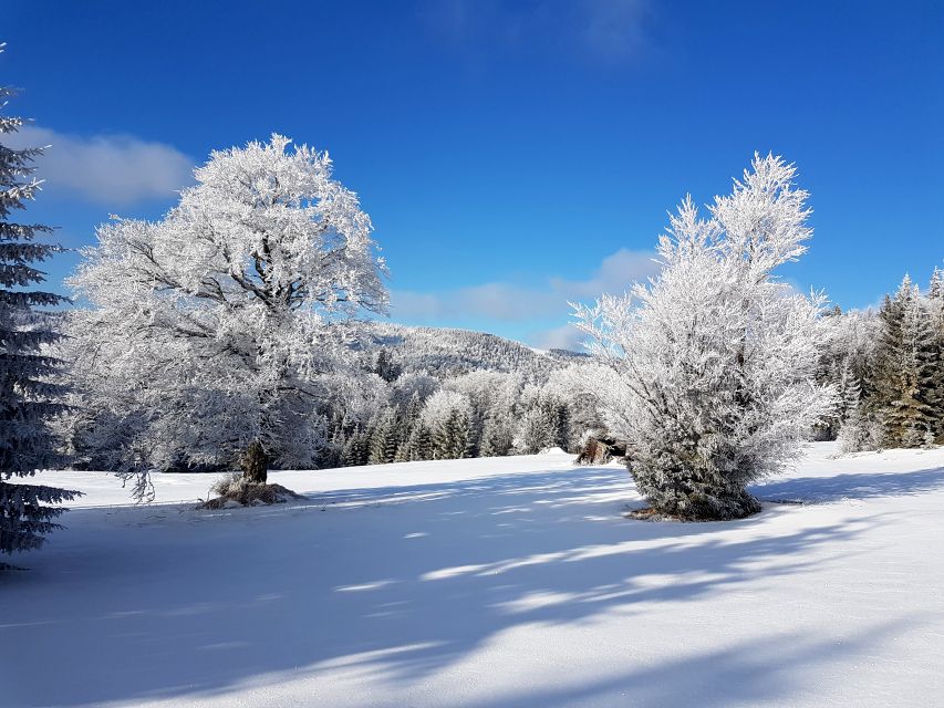 Działka rekreacyjna sprzedam