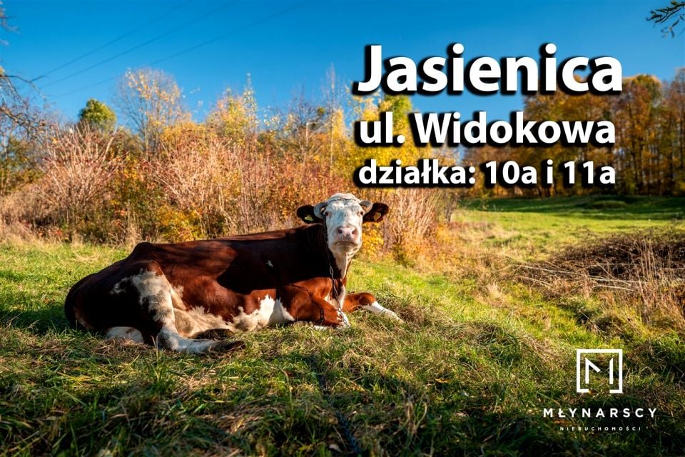 Działka budowlana Jasienica