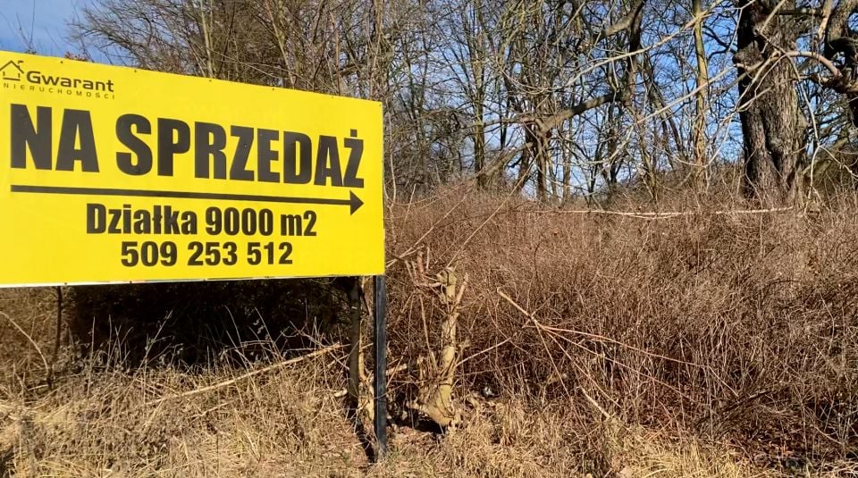 Zdjęcie 2