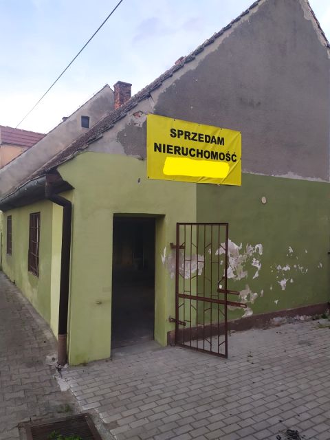 Dom Wilczków