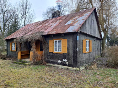 Działka siedliskowa Redzyńskie