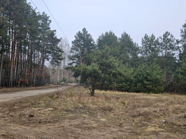 Działka budowlana Marynin sprzedam