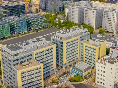 Lokal Warszawa wynajem
