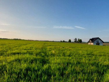 Działka Stara Łomnica