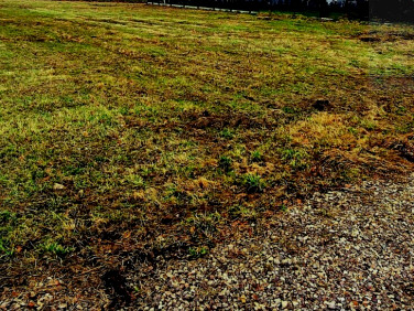 Działka Stara Wieś