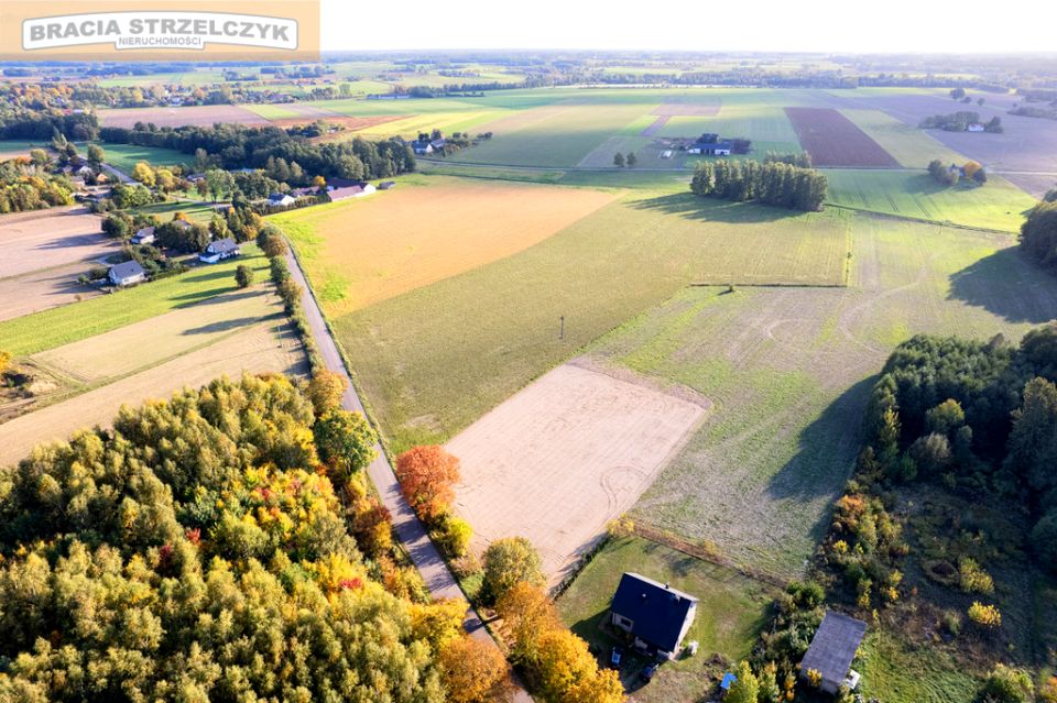 Działka Gnaty-Lewiski