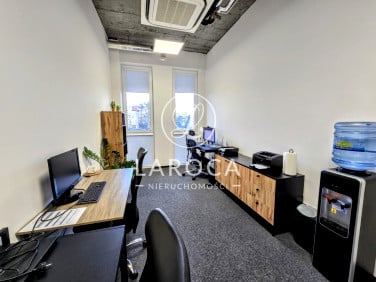 Lokal Toruń wynajem