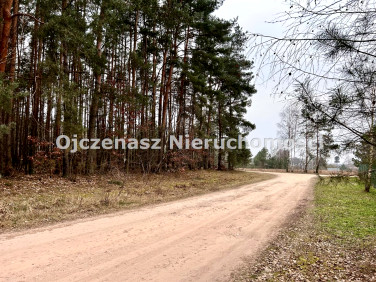 Działka budowlana Niwy
