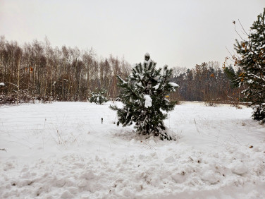 Działka budowlana Rudy-Rysie