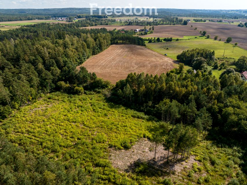 Działka siedliskowa Niepoczołowice sprzedam