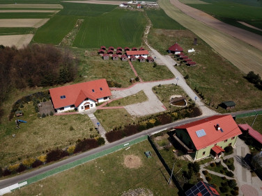 Lokal Kotulin sprzedaż