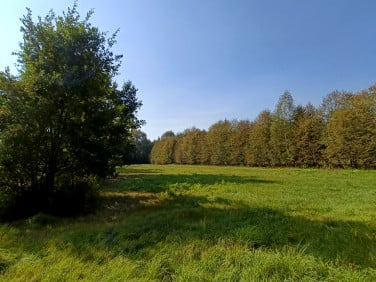 Działka budowlano-rolna sprzedam