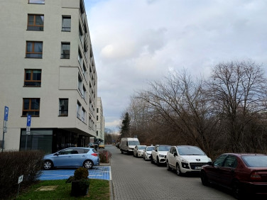 Lokal Warszawa