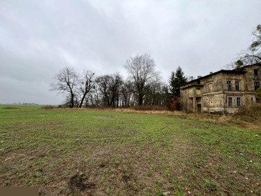 Działka inna Morsk sprzedam