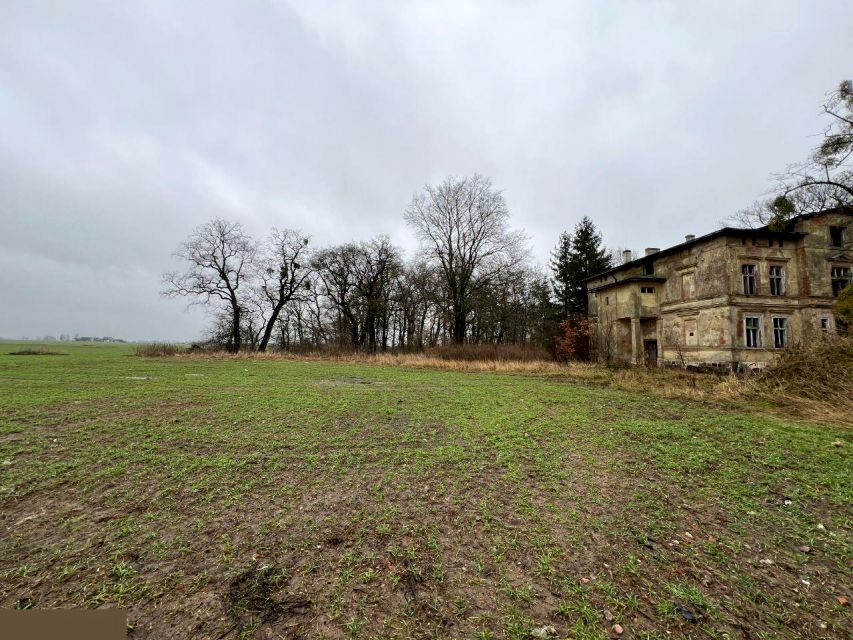 Działka inna Morsk sprzedam