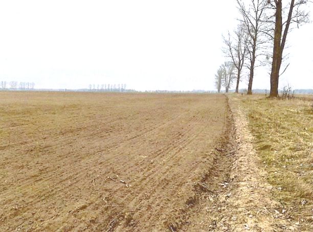 Działka inna Sowno