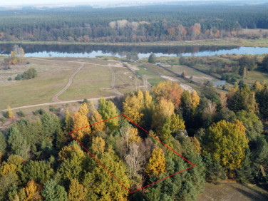 Działka Zambski Kościelne