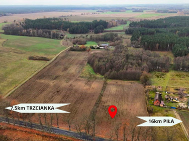 Działka siedliskowa Wapniarnia Pierwsza sprzedam