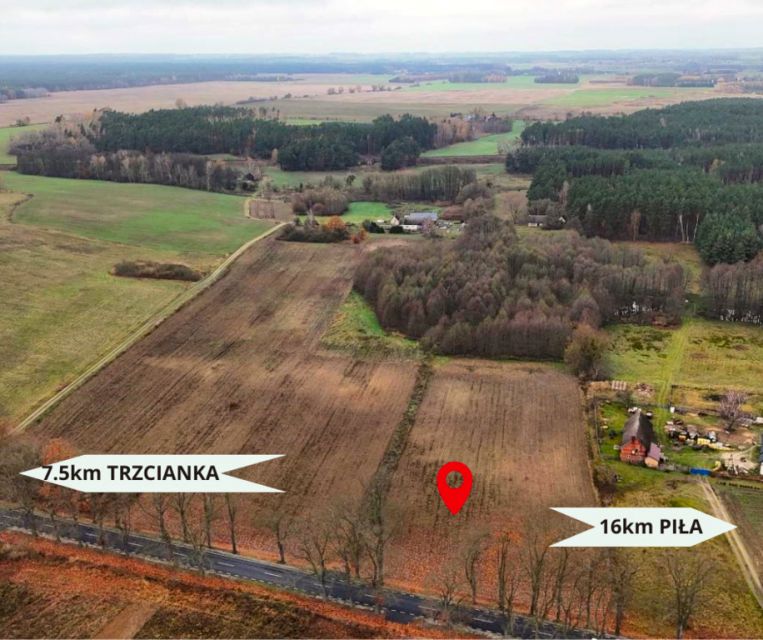 Działka siedliskowa Wapniarnia Pierwsza sprzedam