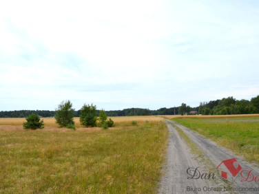 Działka Okoniny Nadjeziorne