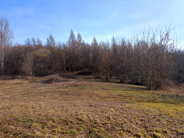 Działka Zaborów