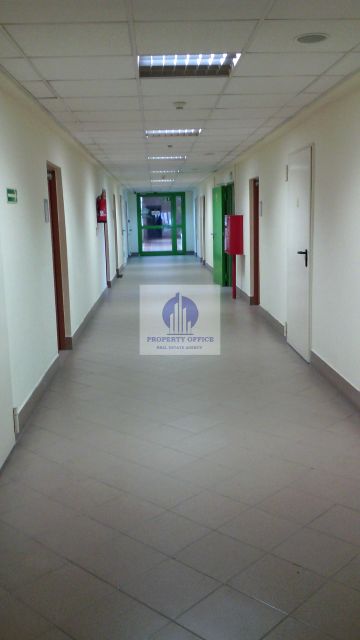 Lokal Warszawa