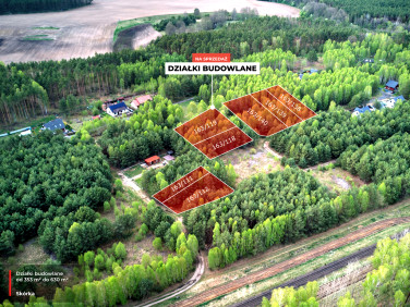 Działka Skórka