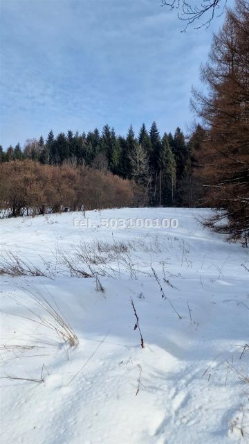 Dom Krynica-Zdrój