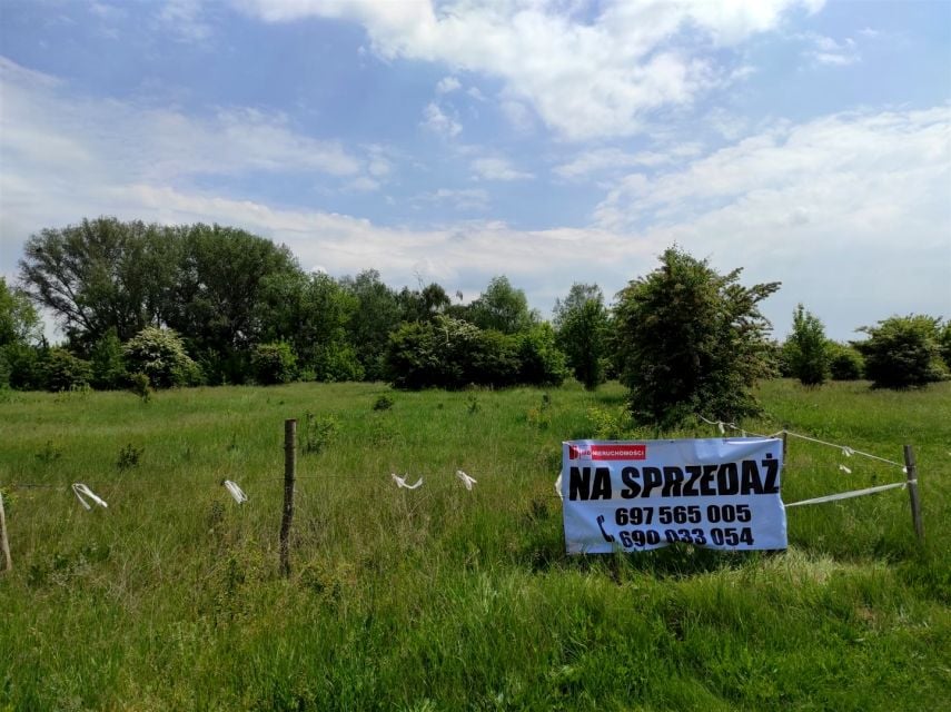Zdjęcie 2