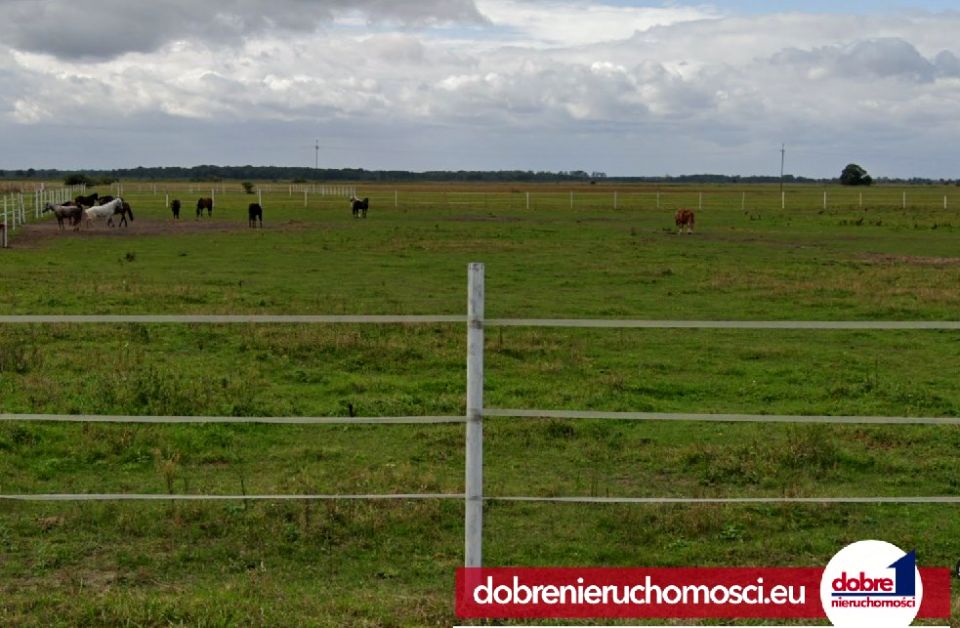 Działka budowlana Nowe Dąbie