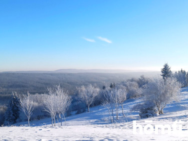 Działka Duszniki-Zdrój