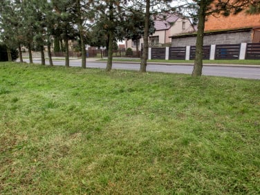 Działka Skarszewek