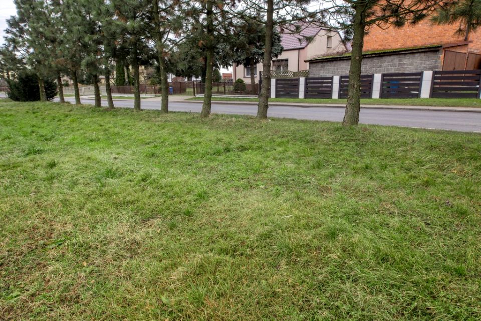 Działka Skarszewek