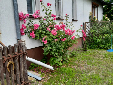 Mieszkanie Nowa Wieś