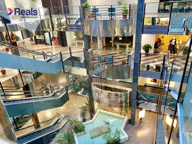 Lokal Warszawa