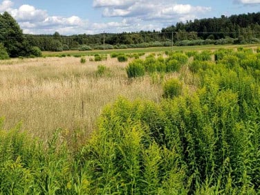 Działka inna Józefowo sprzedam